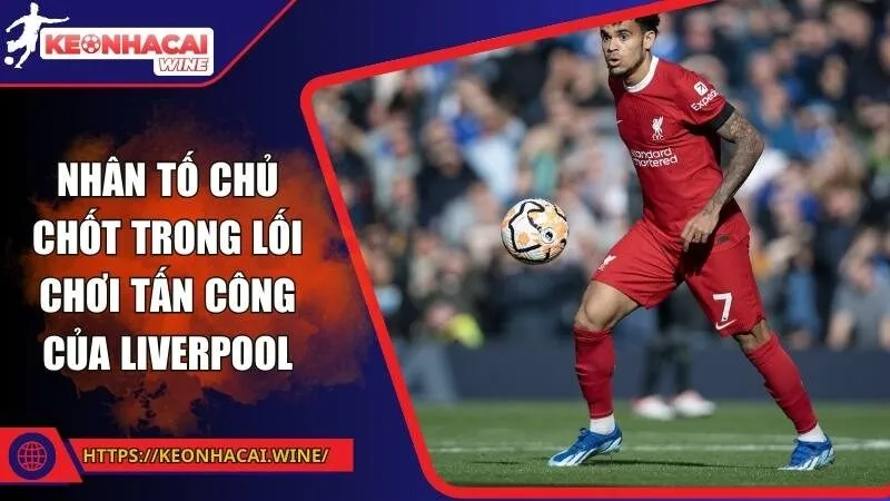 Nhân tố chủ chốt trong lối chơi tấn công của Liverpool