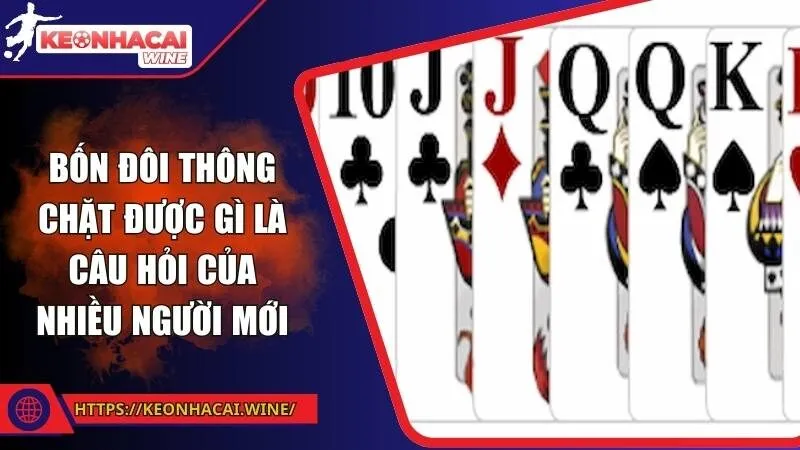Bốn đôi thông chặt được gì là câu hỏi của nhiều người mới