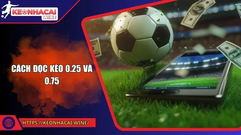 Cách Đọc Kèo 0.25 Và 0.75 Chi Tiết, Dễ Hiểu Từ A - Z